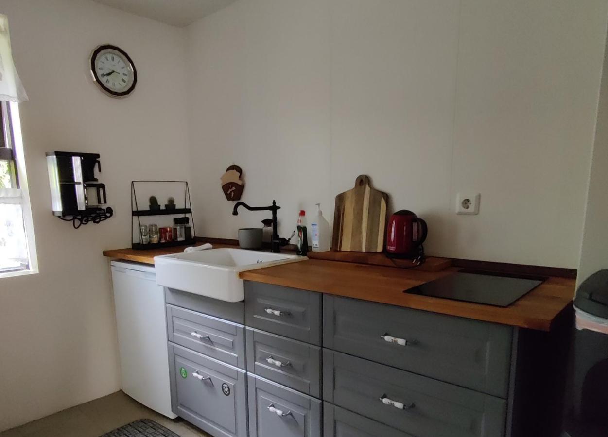 Prestshus 2 Guesthouse Vík Dış mekan fotoğraf