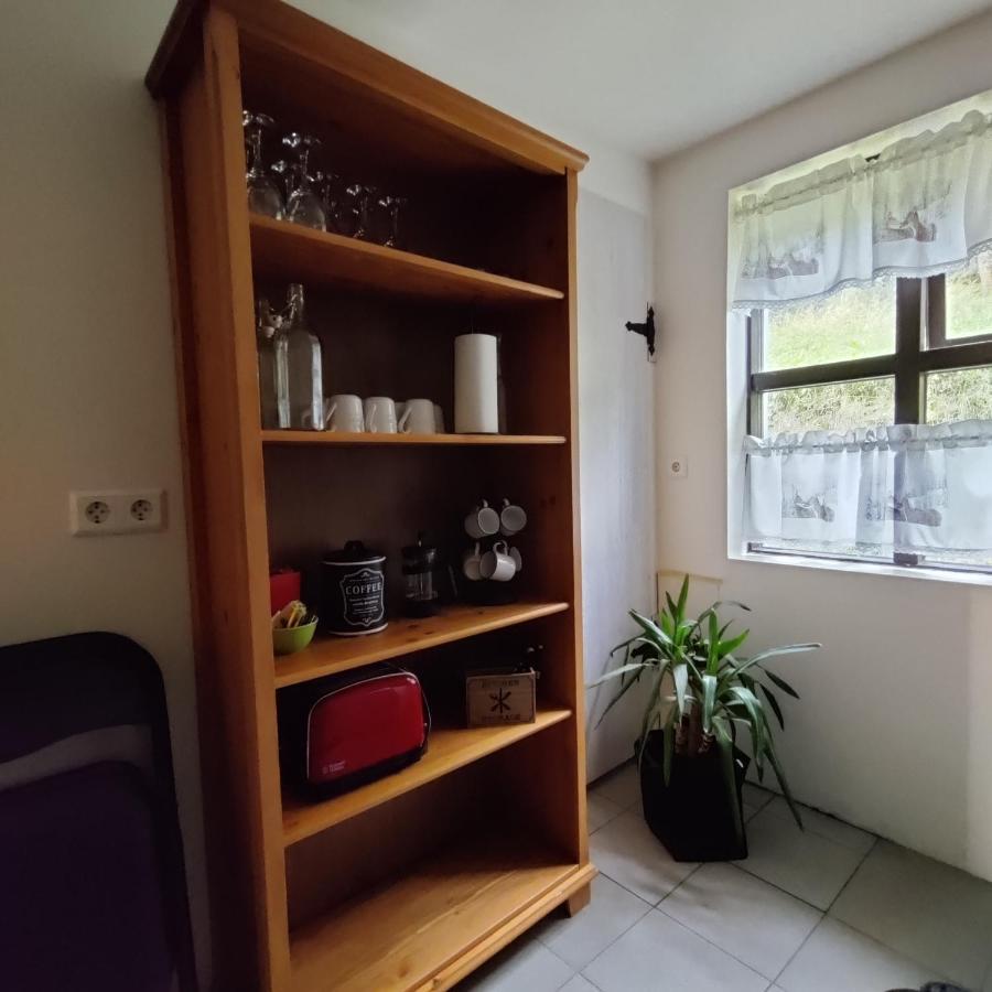 Prestshus 2 Guesthouse Vík Dış mekan fotoğraf