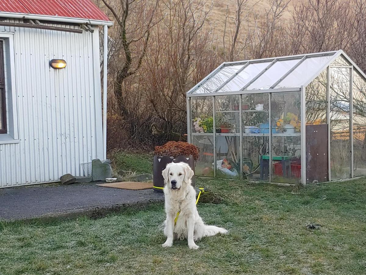 Prestshus 2 Guesthouse Vík Dış mekan fotoğraf