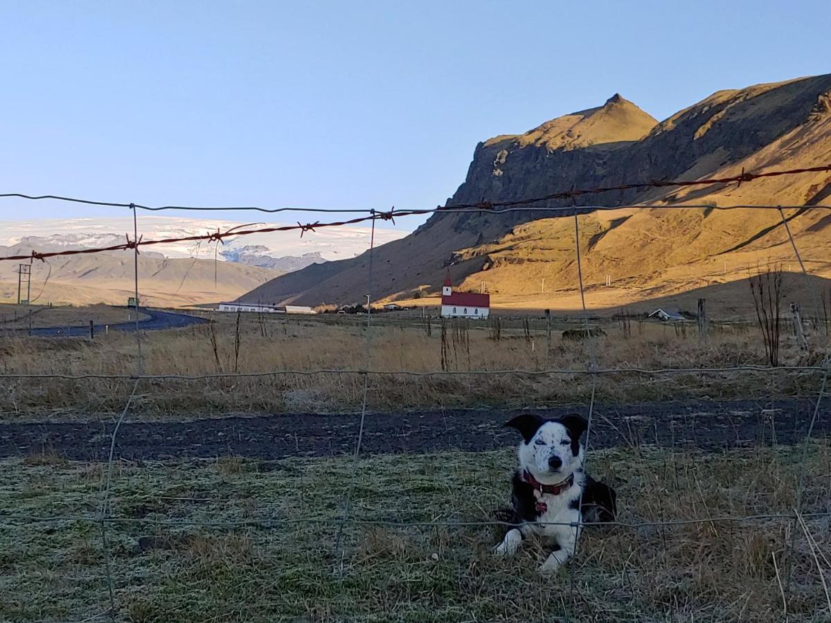 Prestshus 2 Guesthouse Vík Dış mekan fotoğraf