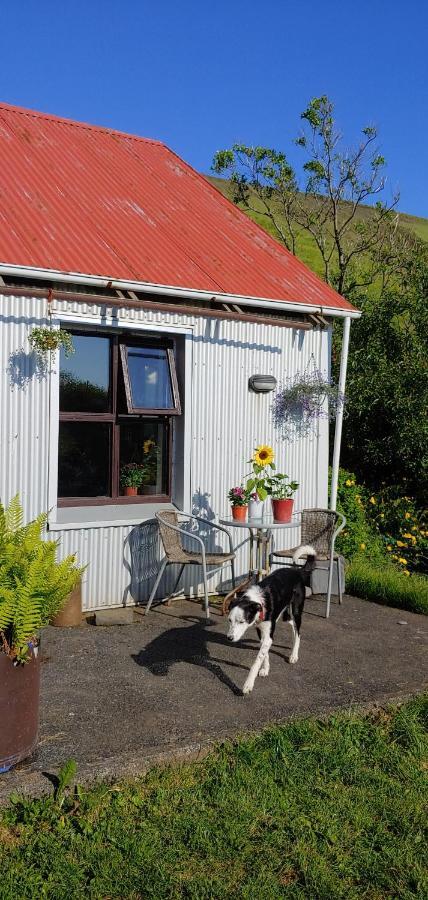 Prestshus 2 Guesthouse Vík Dış mekan fotoğraf
